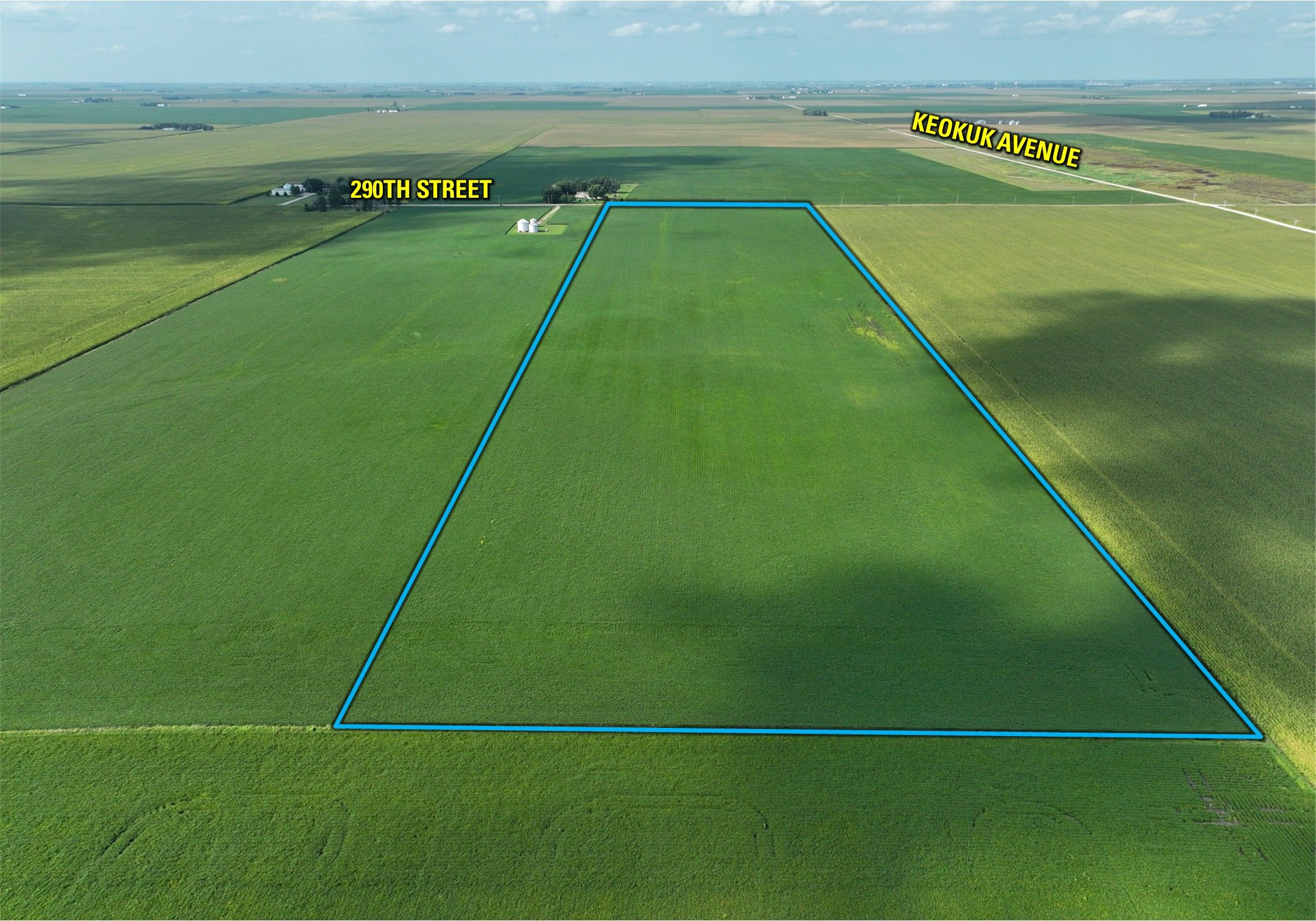 Listing Photo: Aerial 3